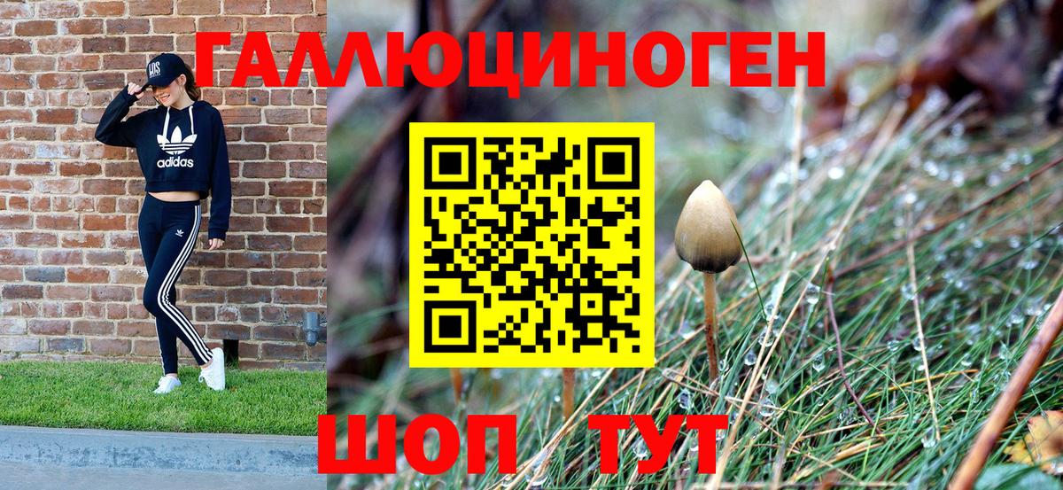 Борисоглебск  Псилоцибиновые грибы GOLDEN TEACHER  купить наркотики цена  Псилоцибиновые грибы Psilocybine cubensis  Вход с VPN 