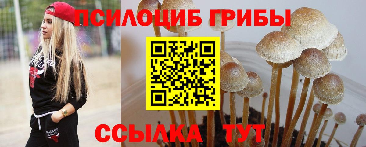 Меф мяу мяу Борисоглебск